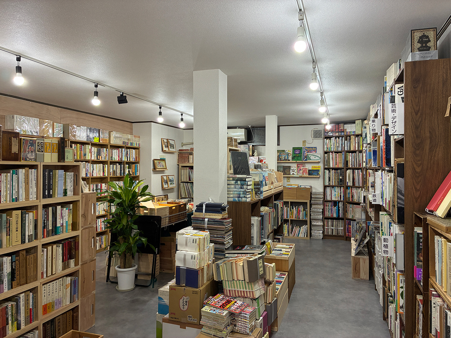 古本屋しろくま堂店内